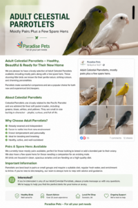Paradise Pets