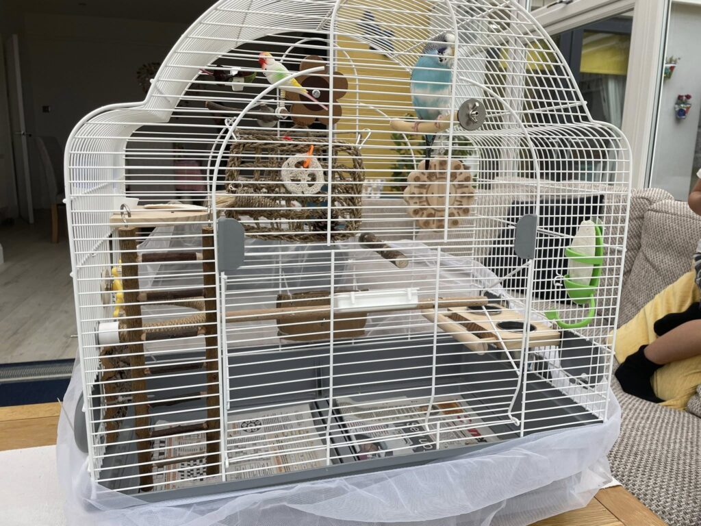 Bare budgie cage no enrichment toys UK