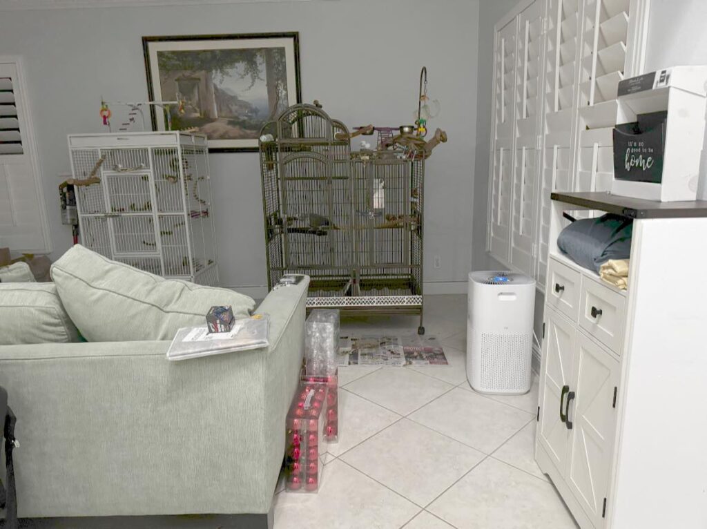 Budgie cage in UK living room ideal placement corner spot