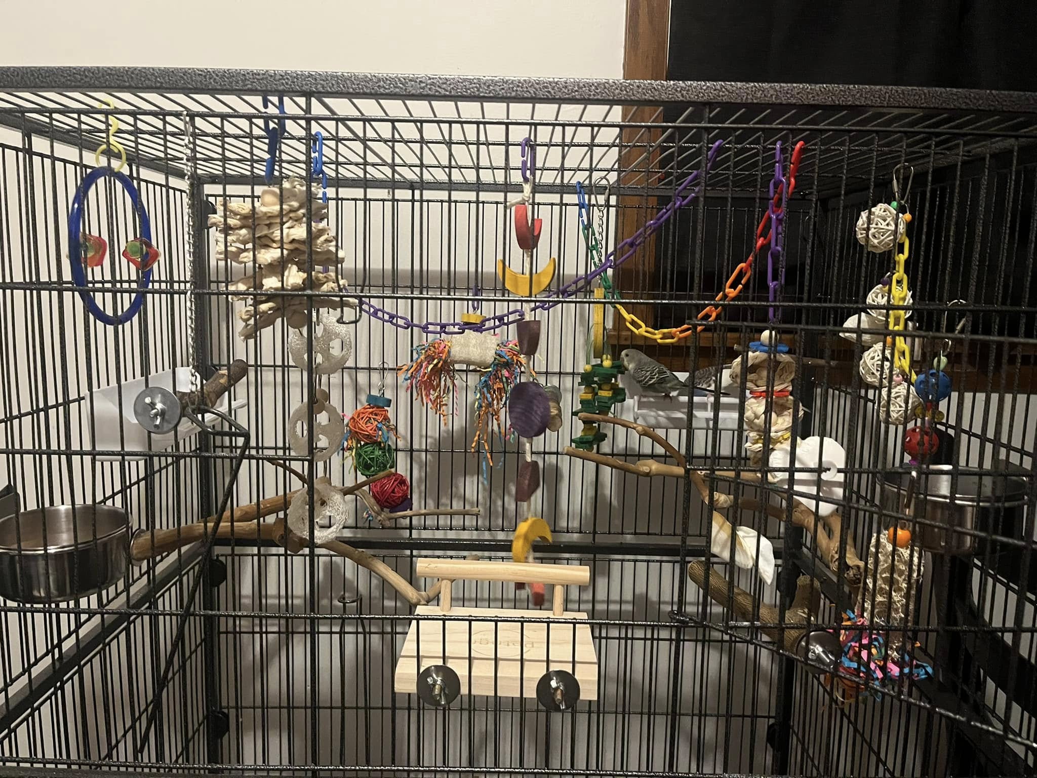 Enriched budgie cage with multiple toys perches UK setup