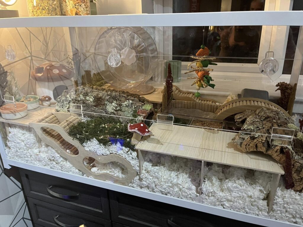 Warm cosy hamster cage setup UK home winter preventing torpor 