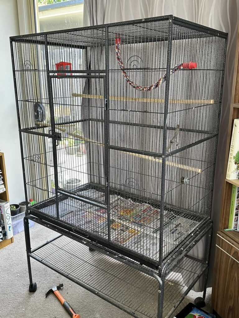 Well-equipped budgie cage with right number of toys UK