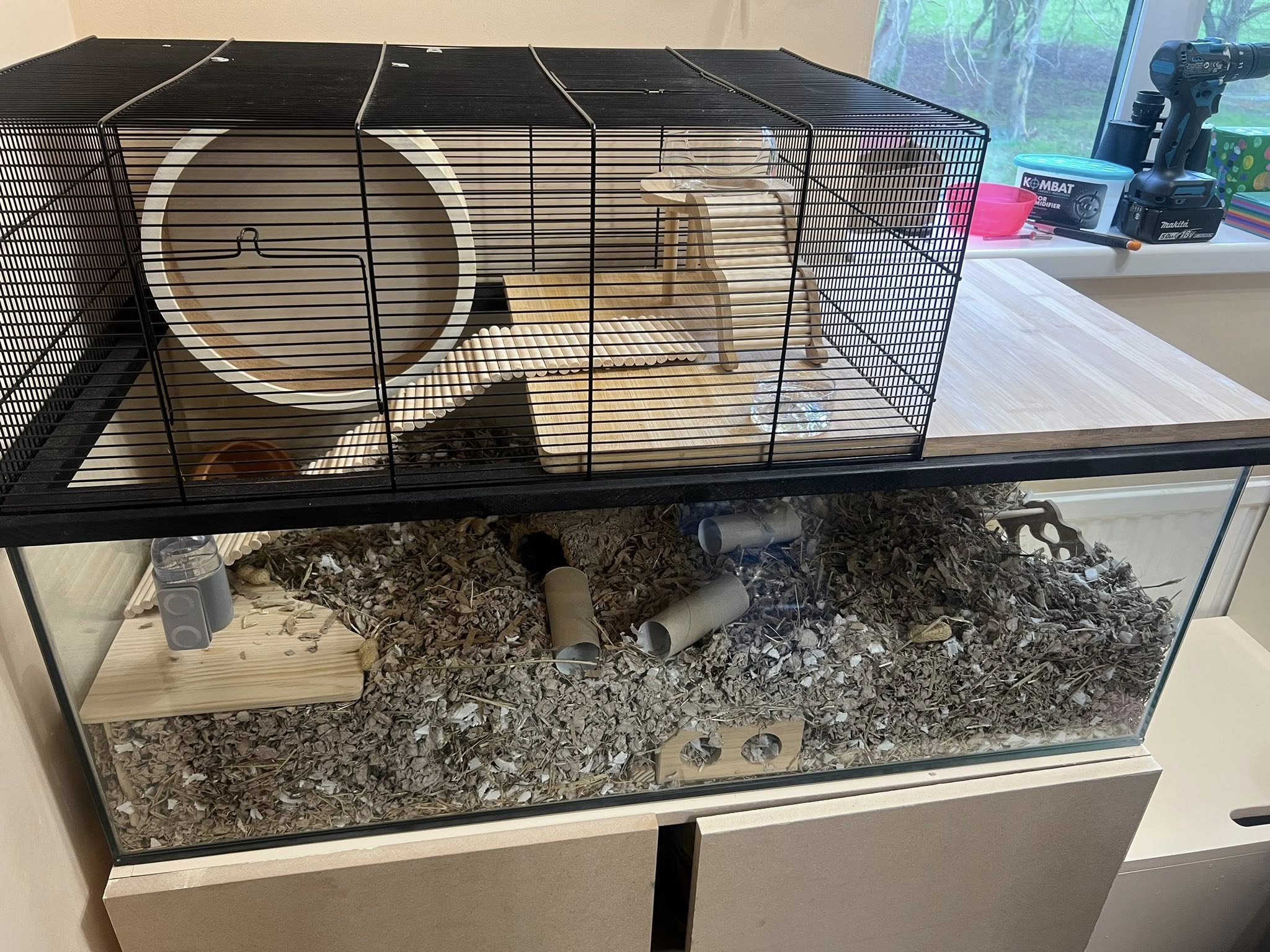 Well set up gerbil cage with deep substrate silent wheel UK