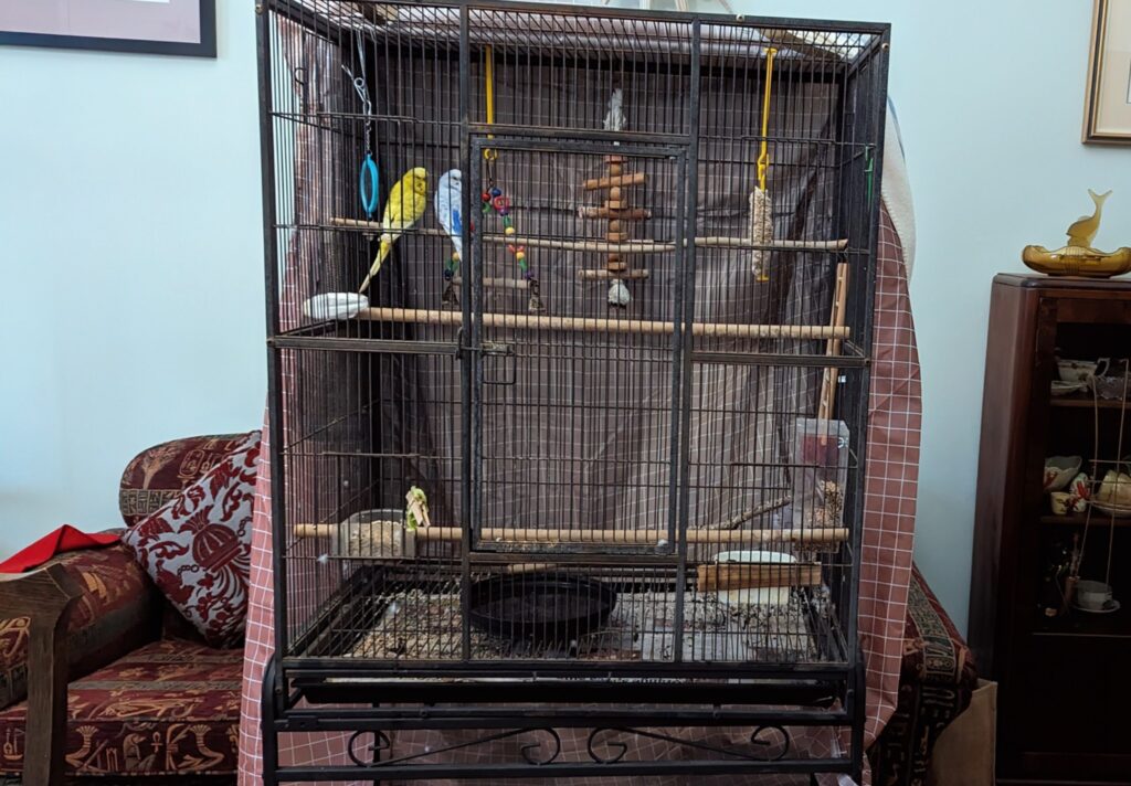 budgie cage size apartment UK