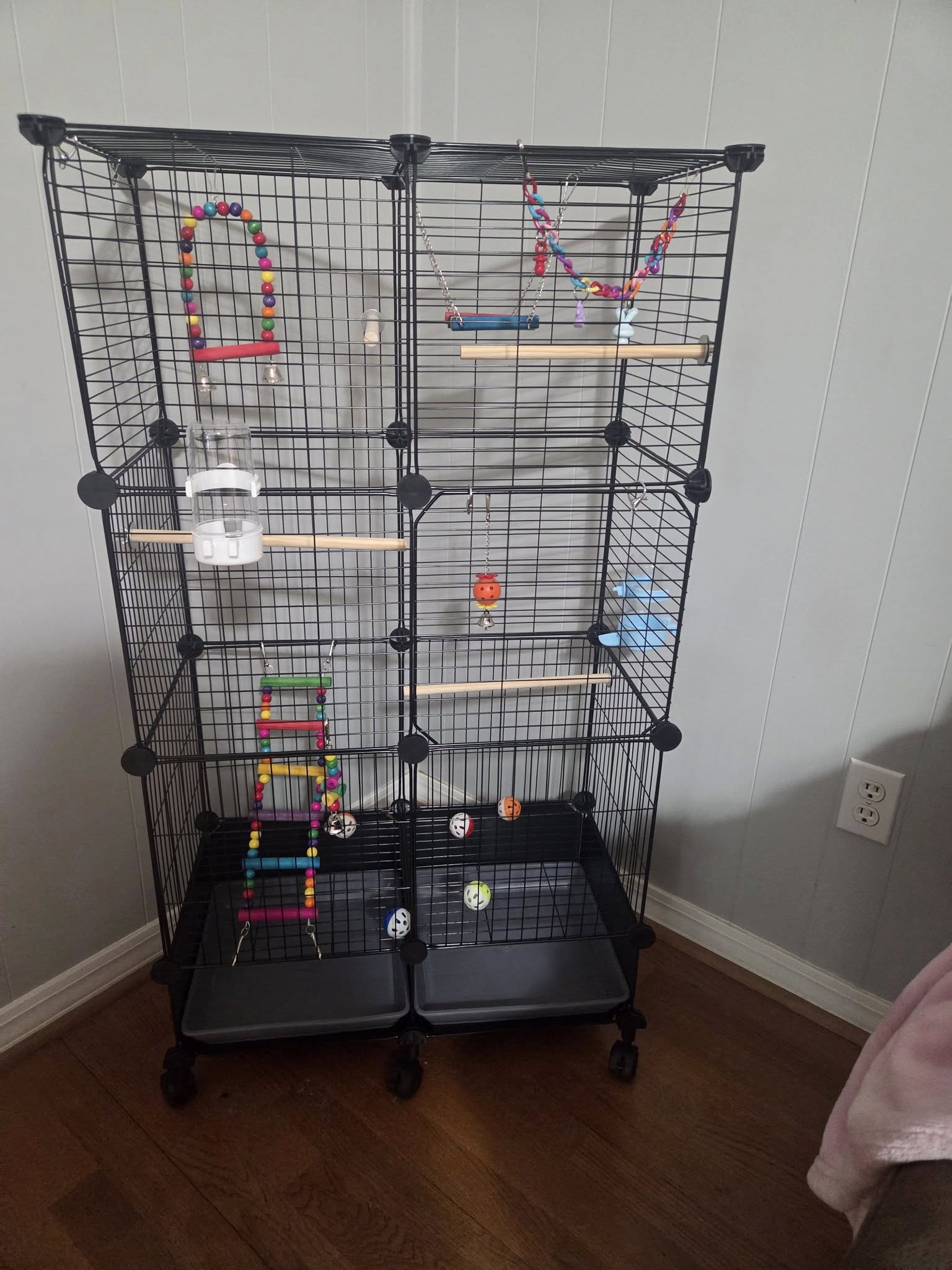 budgie in well-set-up cage with natural perches and toys