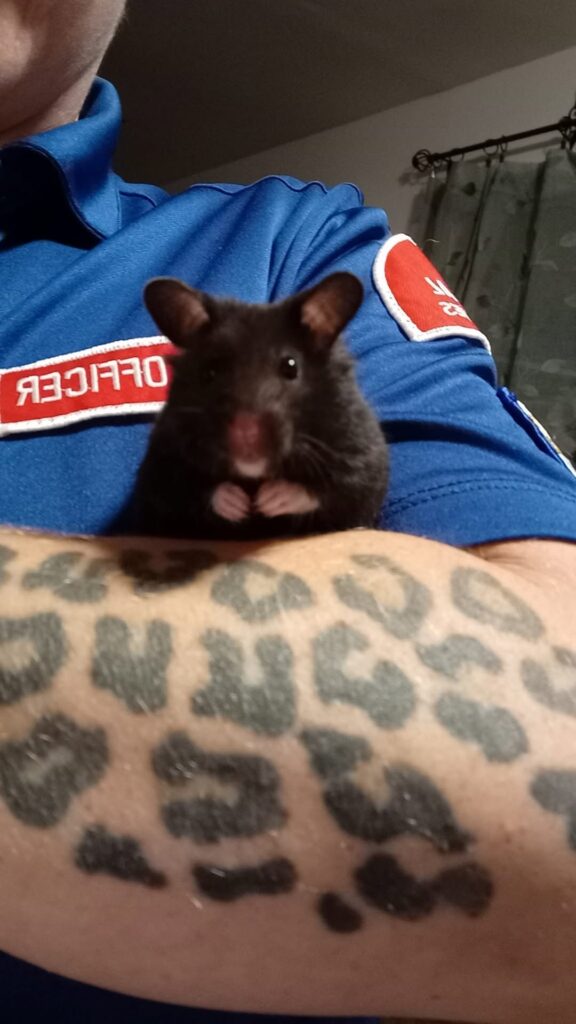 child bonding with hamster UK