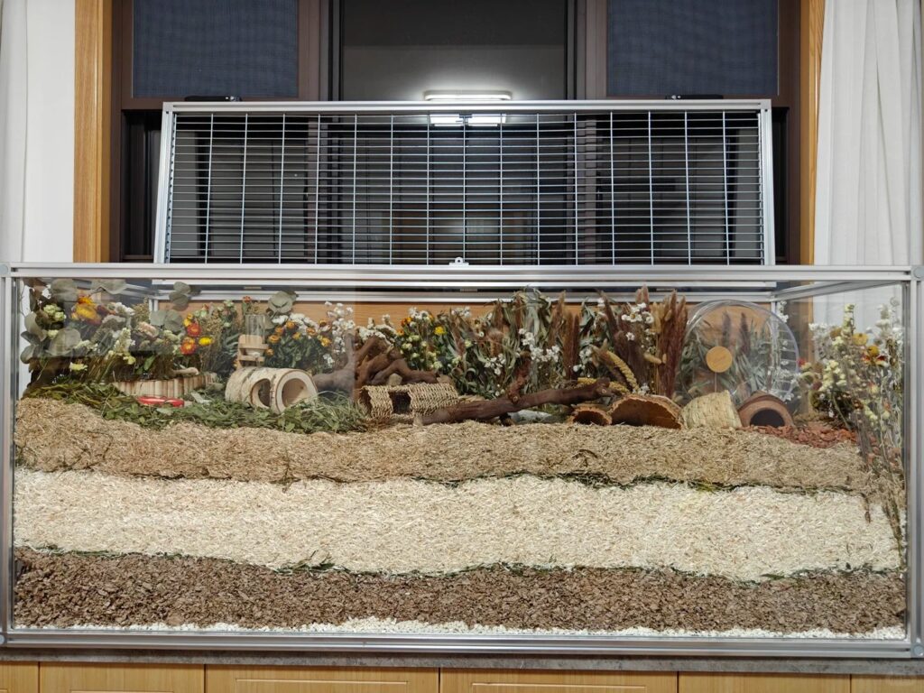 hamster cage correct setup UK