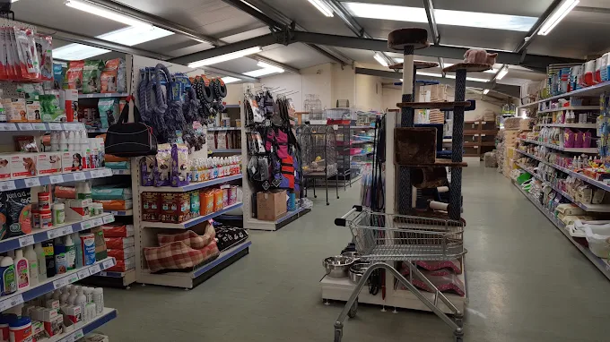 pets paradise swindon
