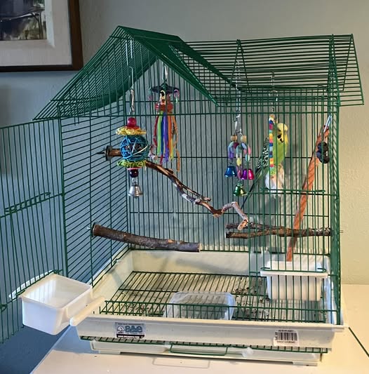 well-set-up bird cage with natural perches