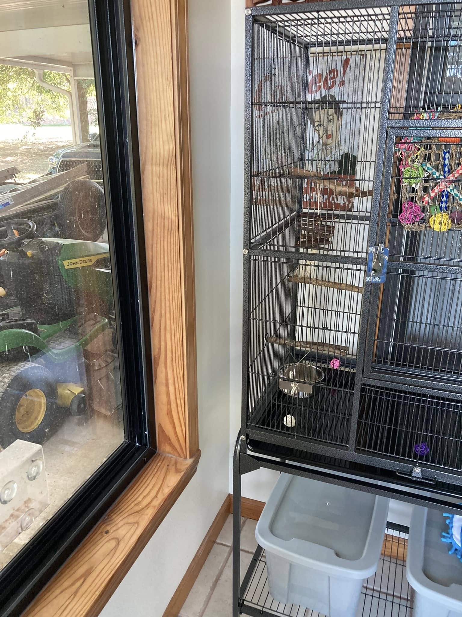 Bird cage moved cool room curtains closed UK 