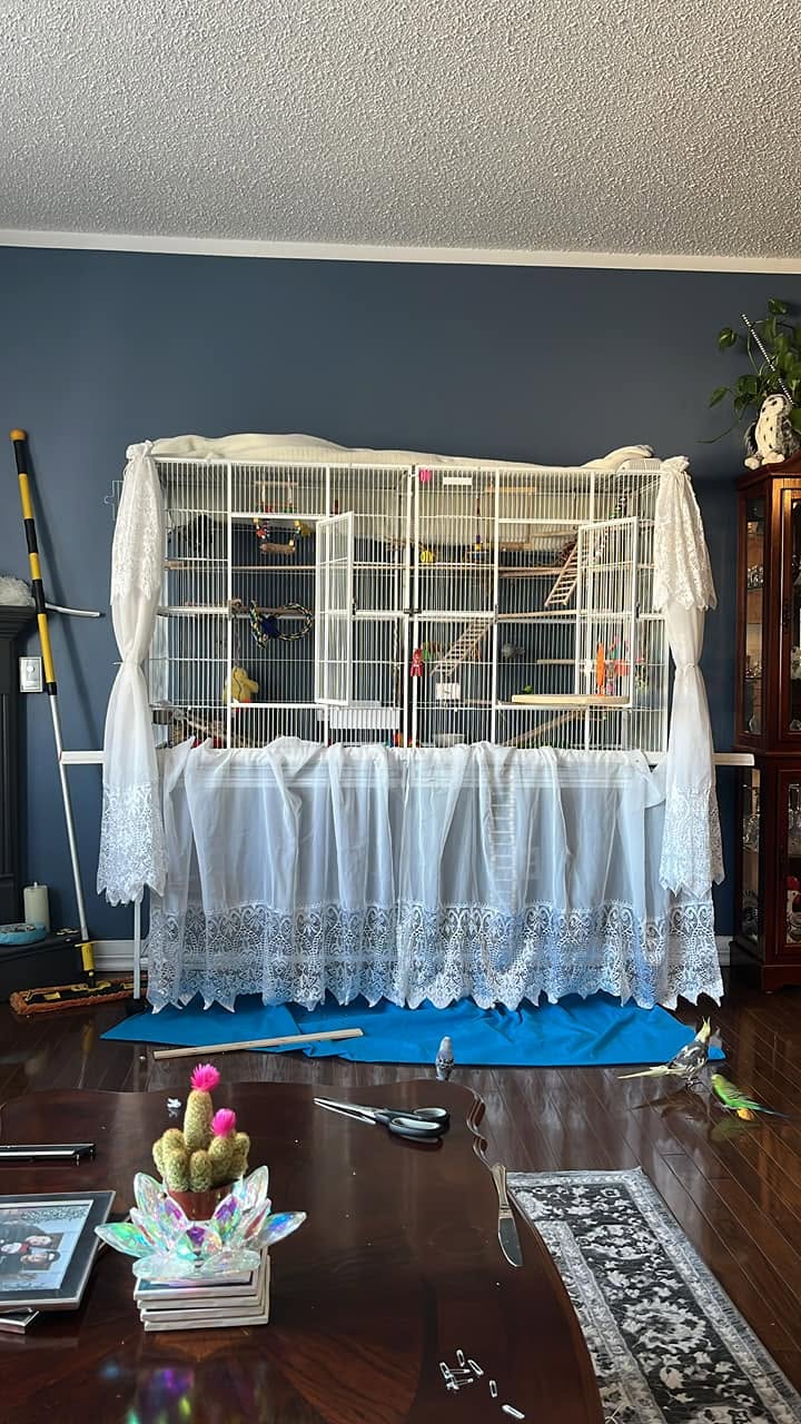 Bird cage moved cool room curtains closed UK