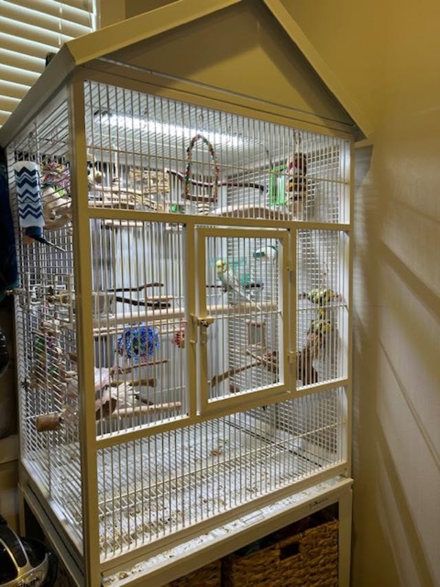 Bird cage seasonal position natural light UK home