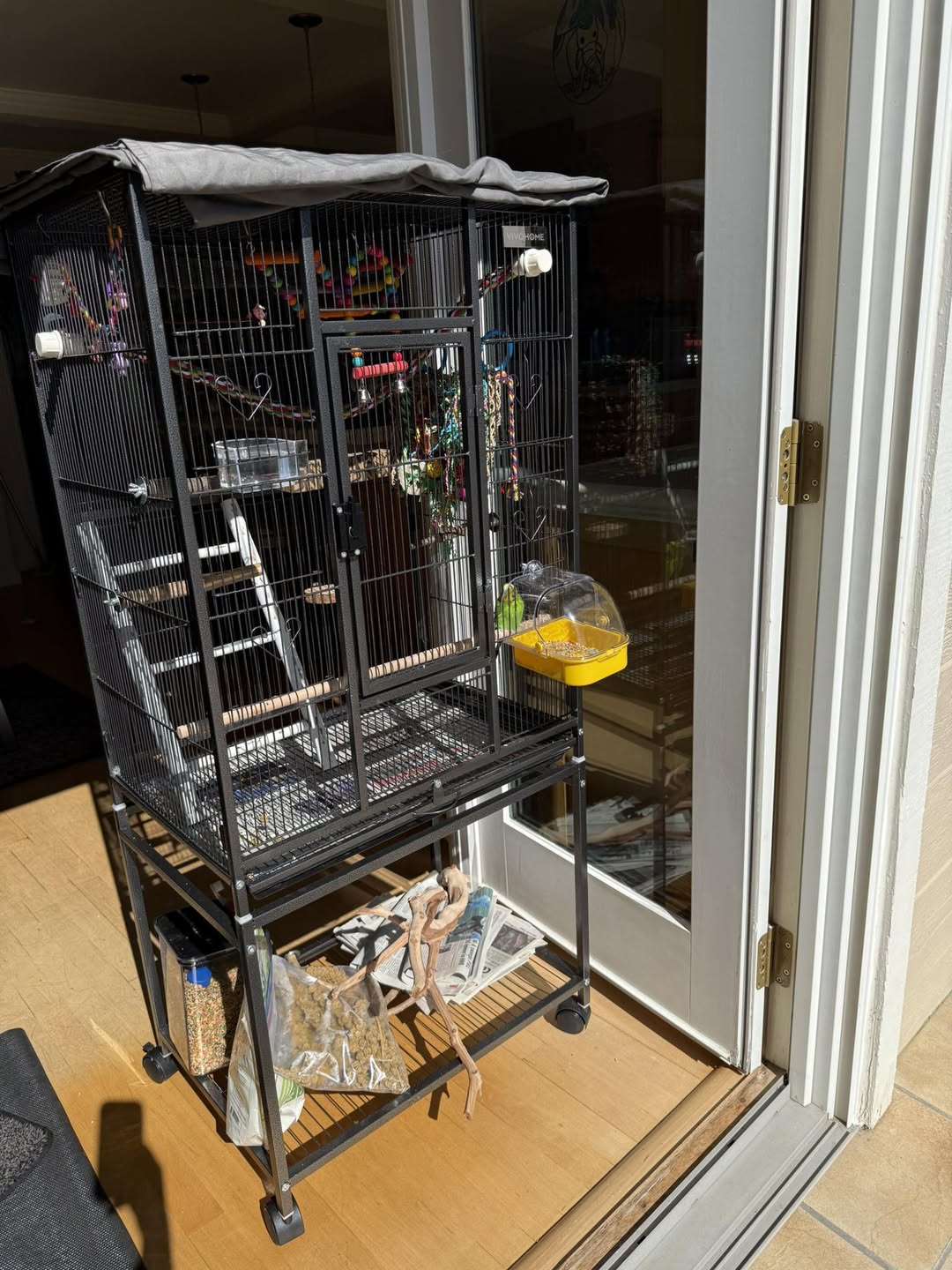 Budgie cage shaded position summer UK home