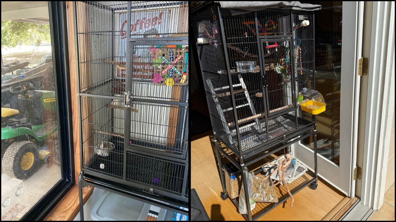 Budgie cage sunny window overheat risk UK