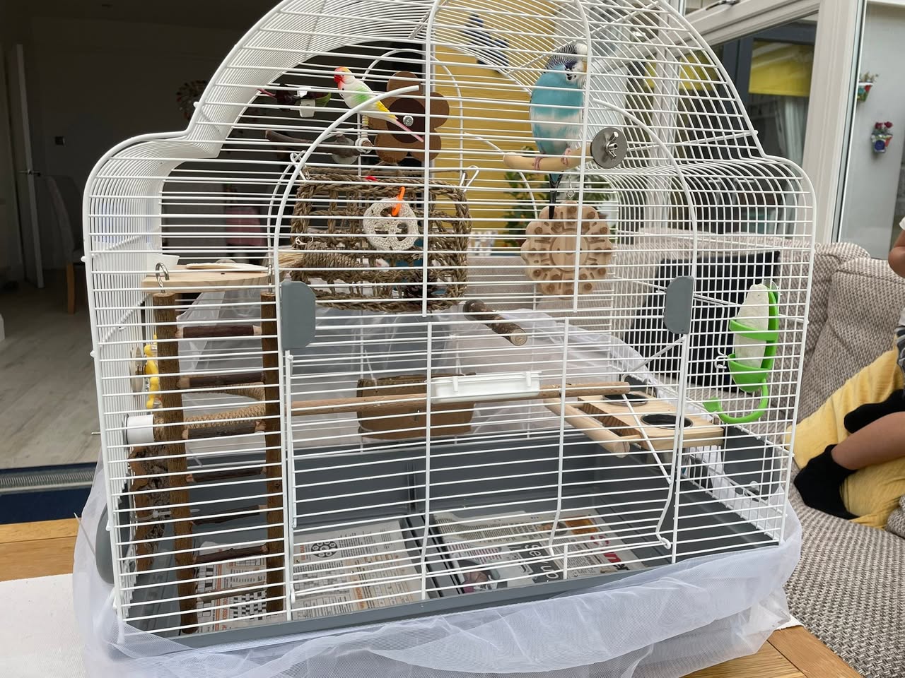 Large budgie cage enrichment rotation UK shift worker healthcare
