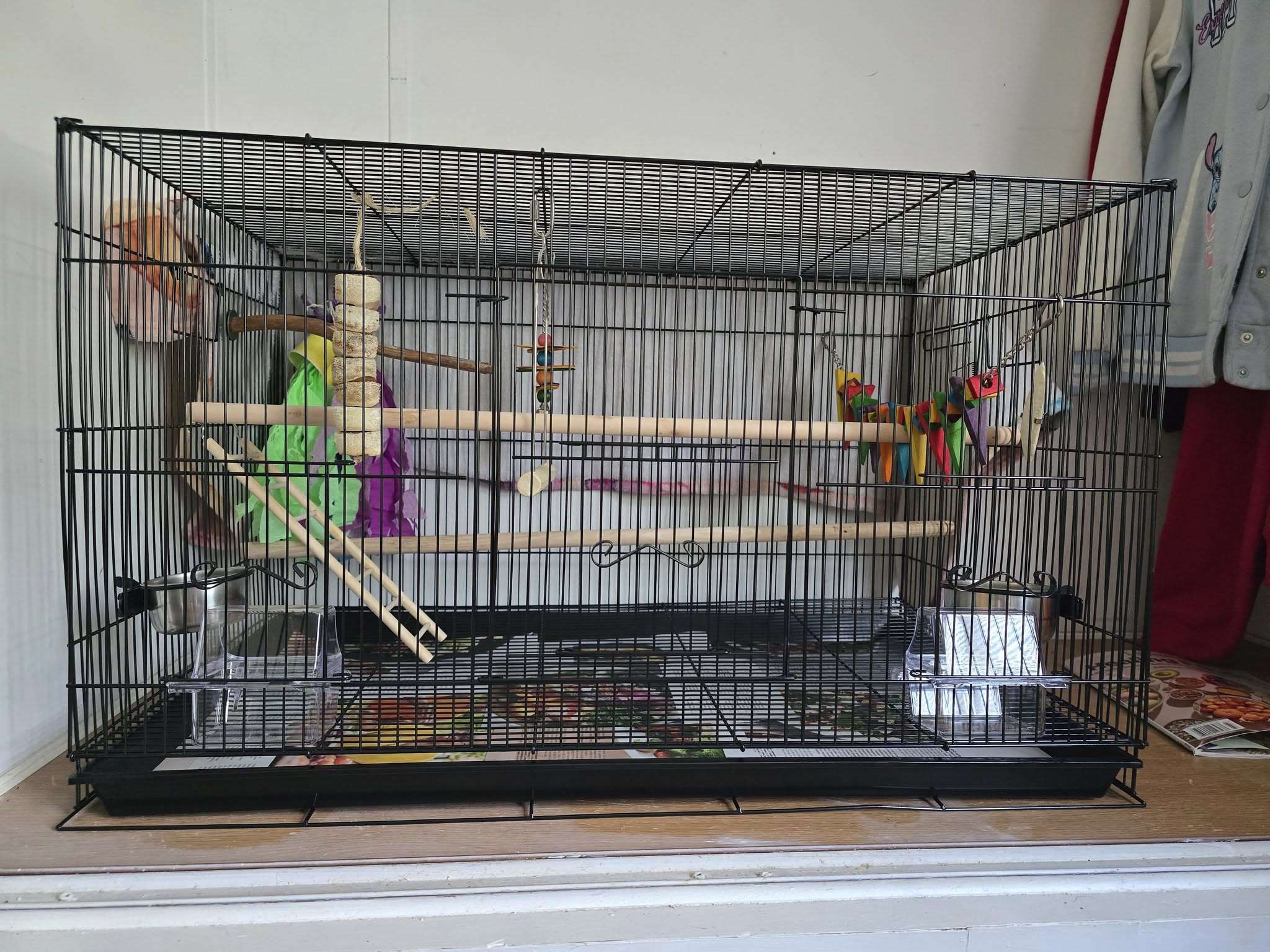 Quality UK budgie cage top horizontal bars proper setup 
