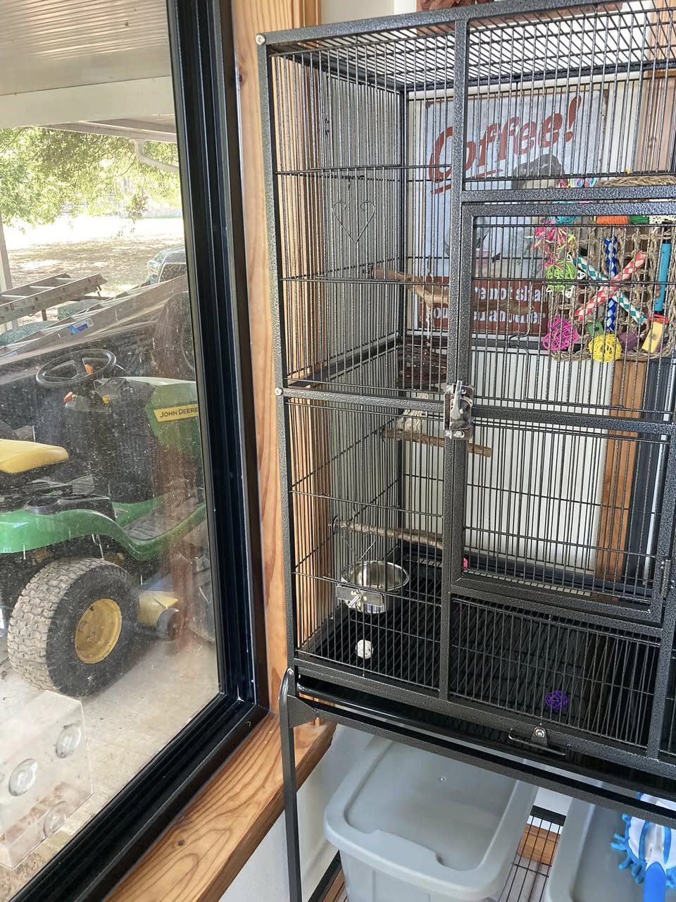 South facing window direct sun bird cage danger UK