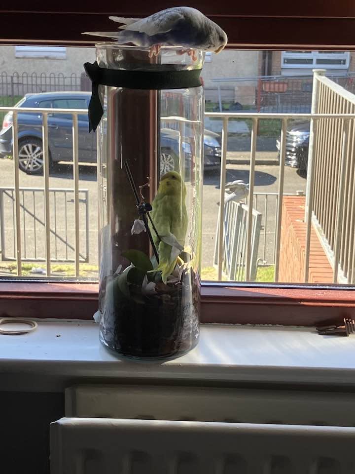 Sunlight through glass window heat zone UK home