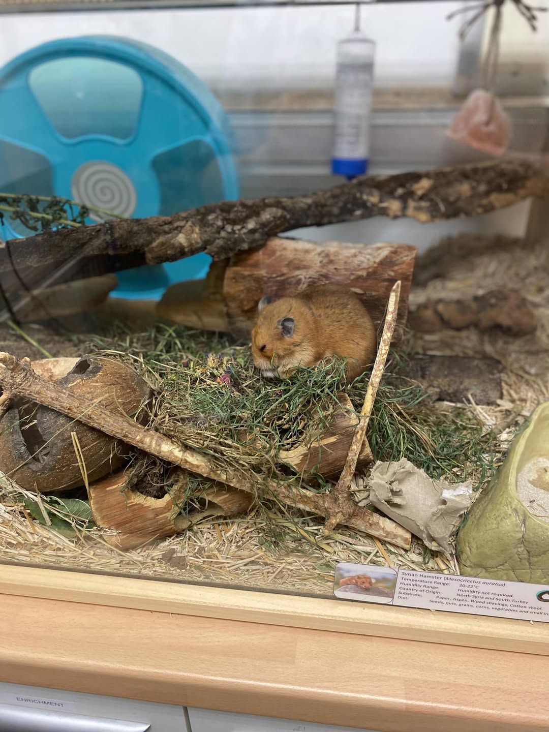 UK hamster proper welfare research scientific evidence cage