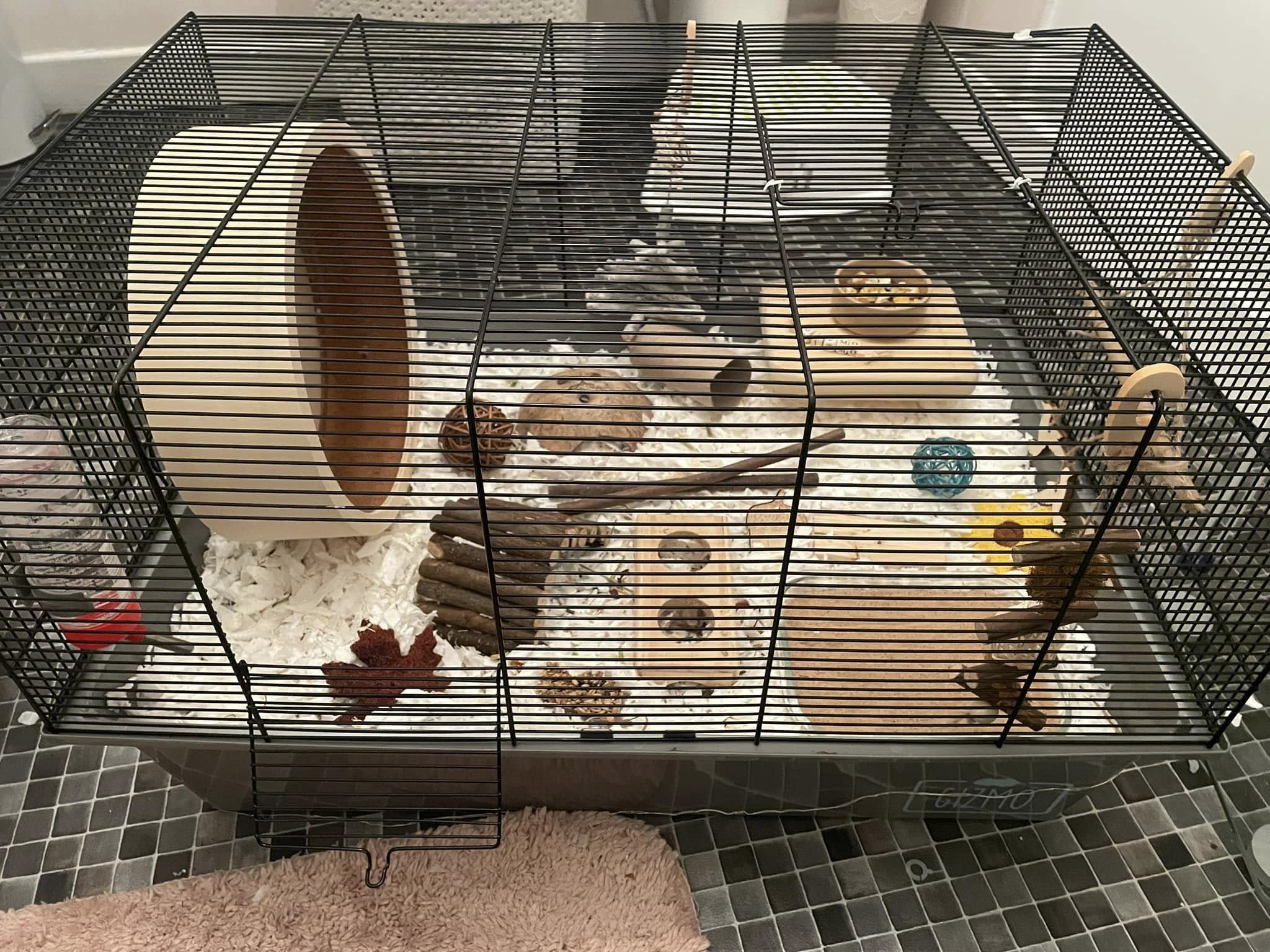 UK owner upgrading hamster cage welfare standard practical action
