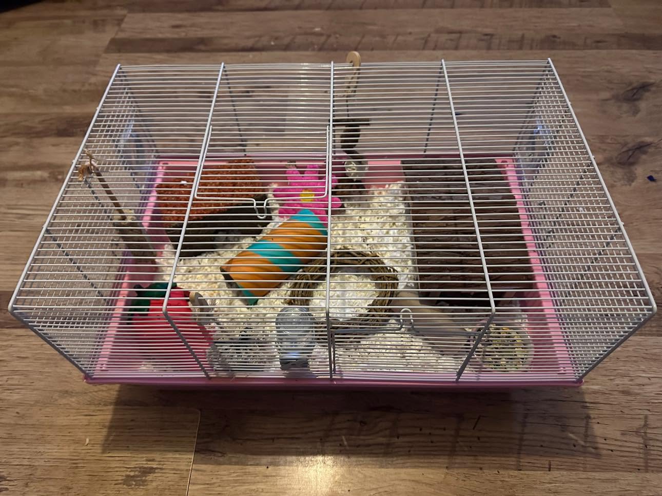 UK pet shop hamster cage range new welfare standard offering