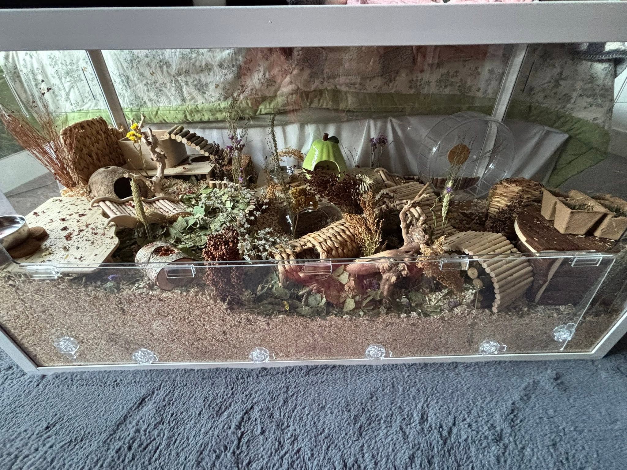 UK welfare standard hamster cage 100cm size measurement guide