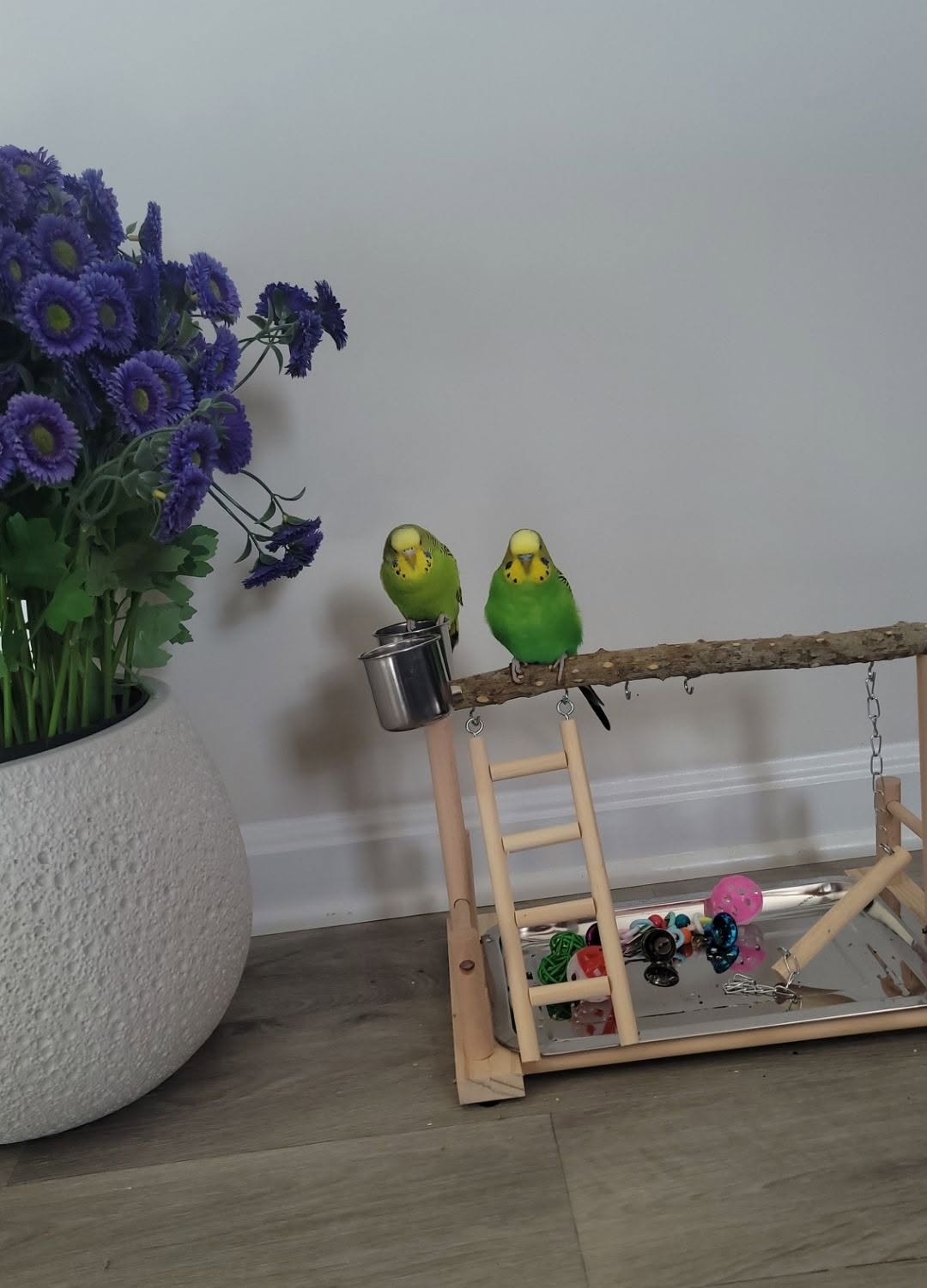 bird flu zone lifted indoor birds England June 2026