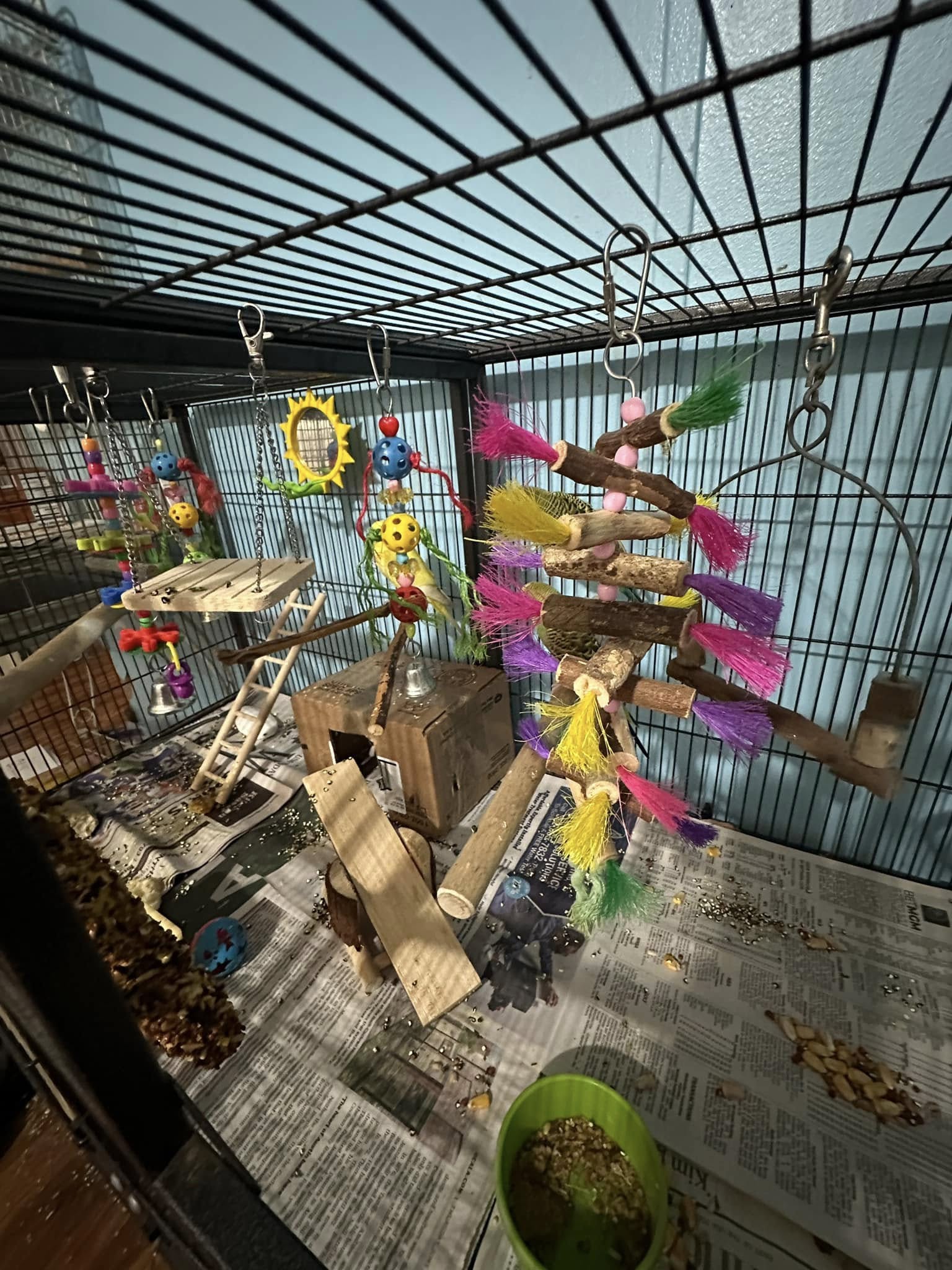 budgie cage mat clean rented property uk