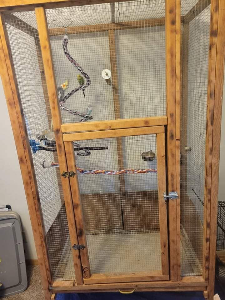 budgie cage modern rental flat UK 