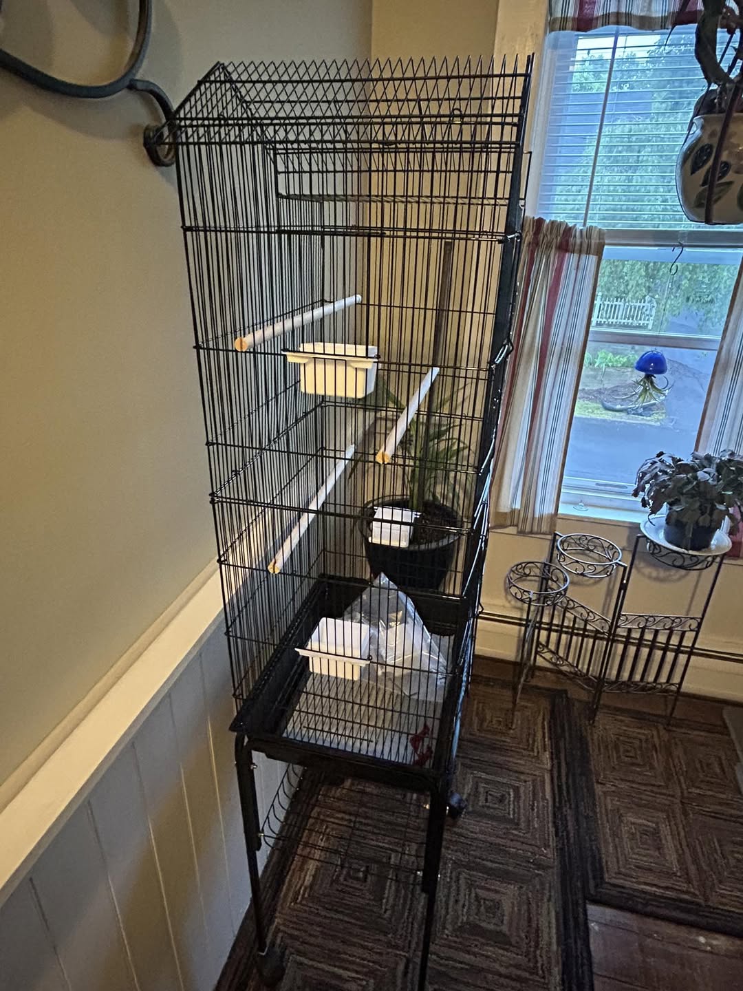 budgie cage perch placement flight distance UK