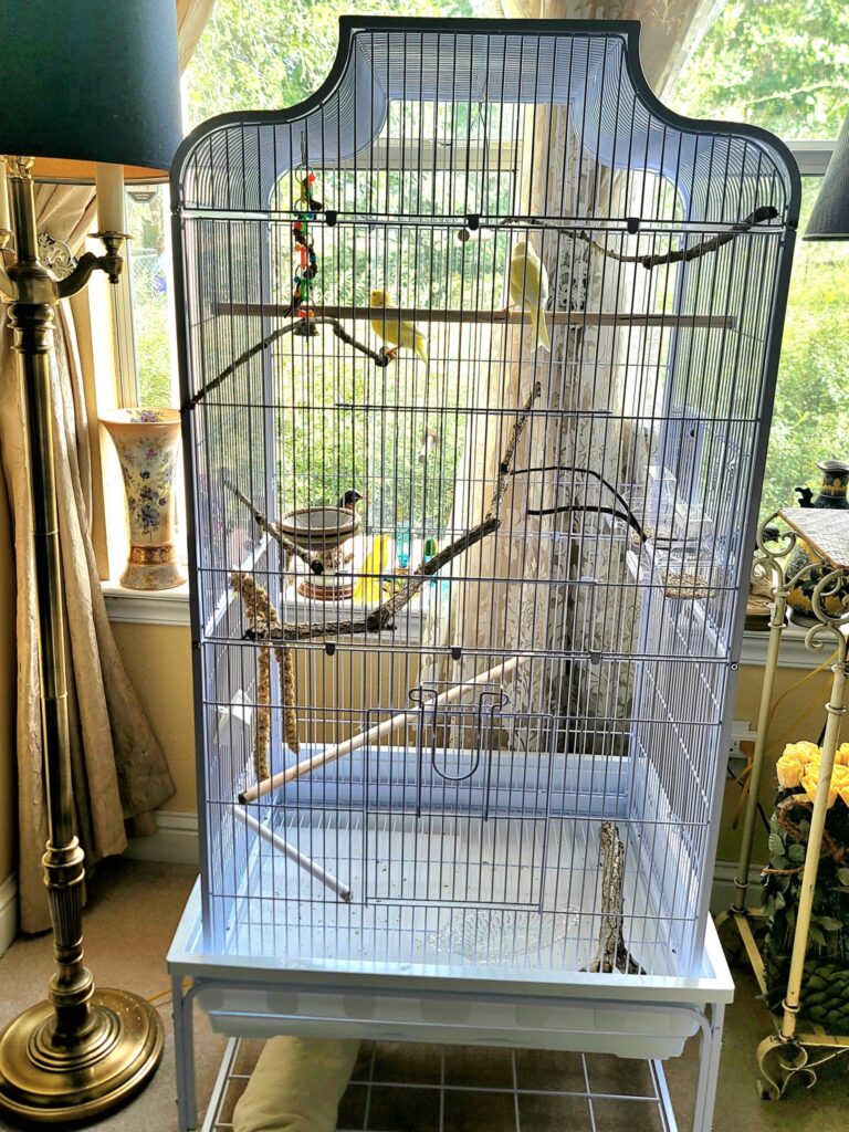 canary cage position UK draught free placement
