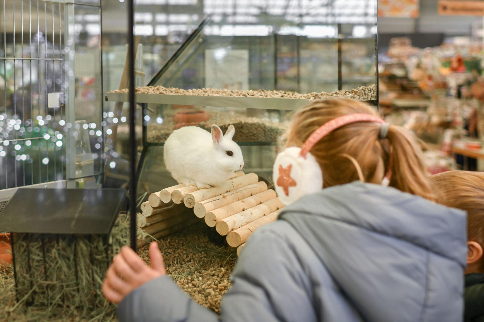 ethical pet selling animal welfare UK