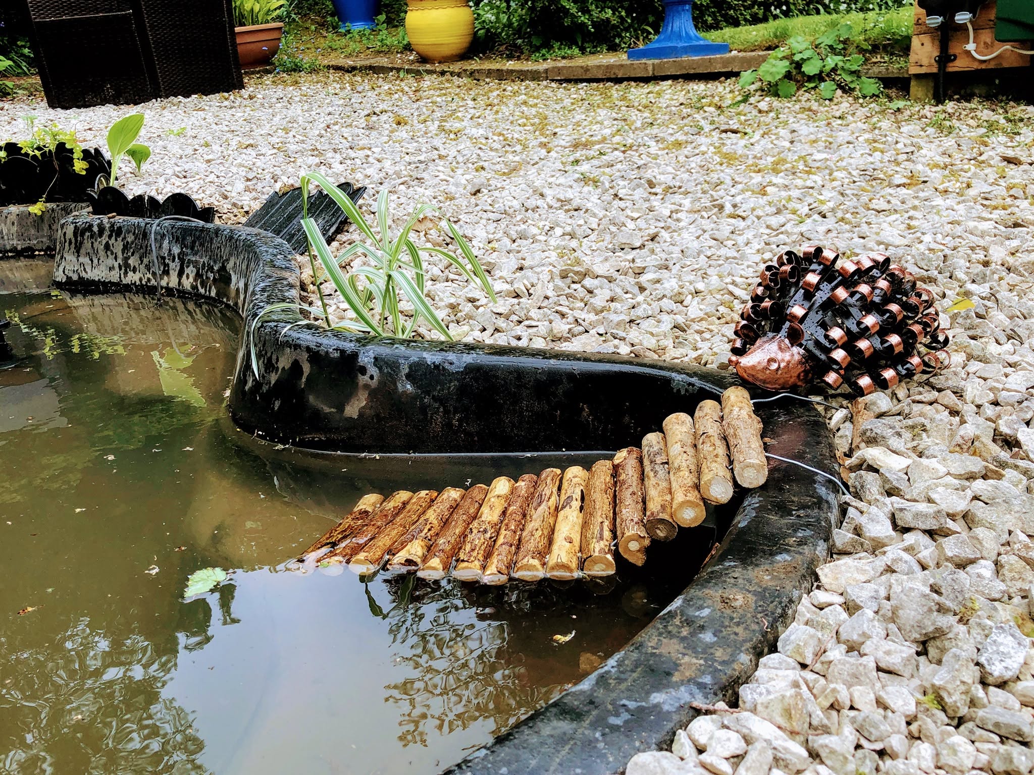 garden pond with hedgehog escape ramp