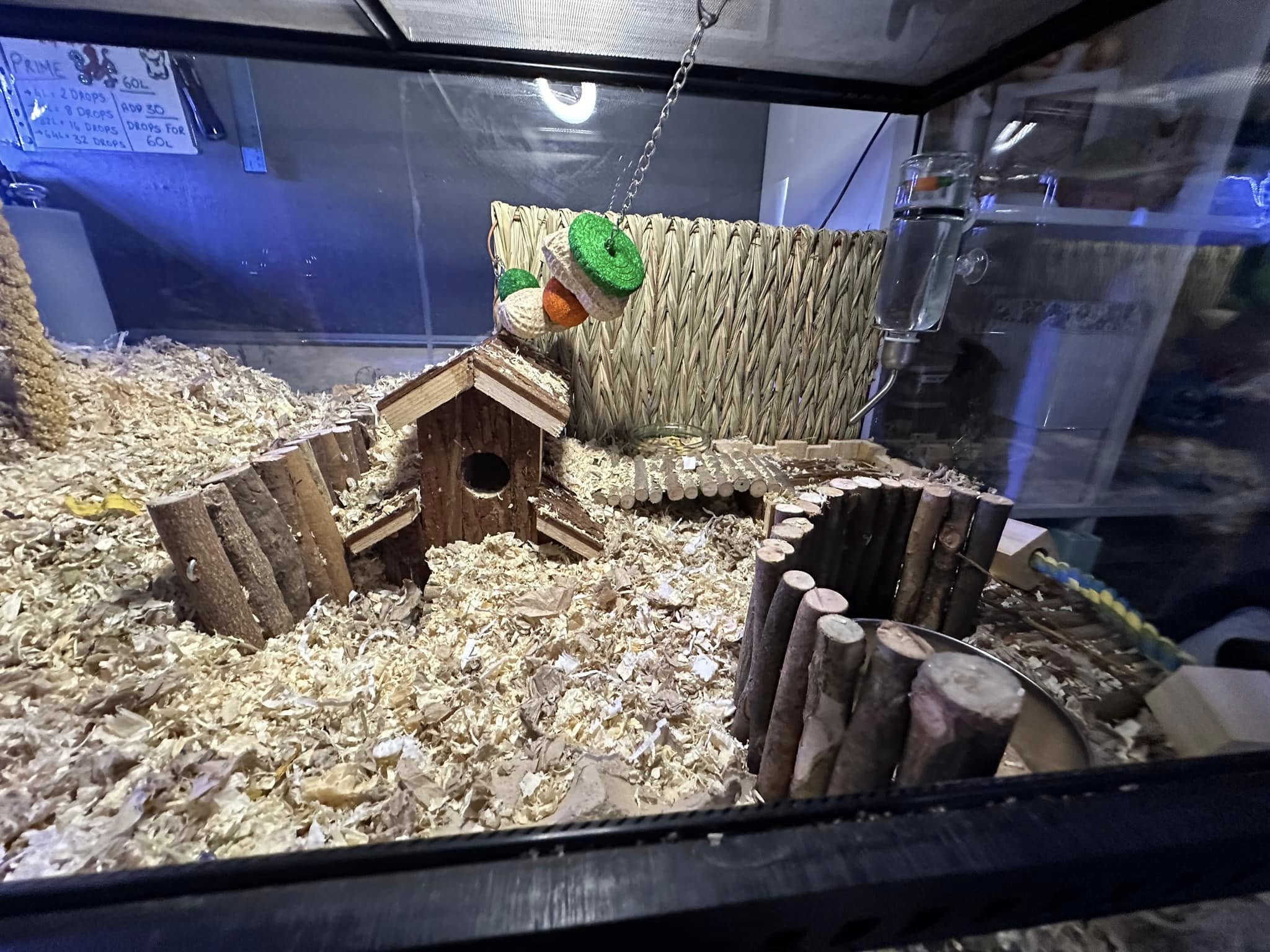 gerbil burrowing deep substrate tank UK 