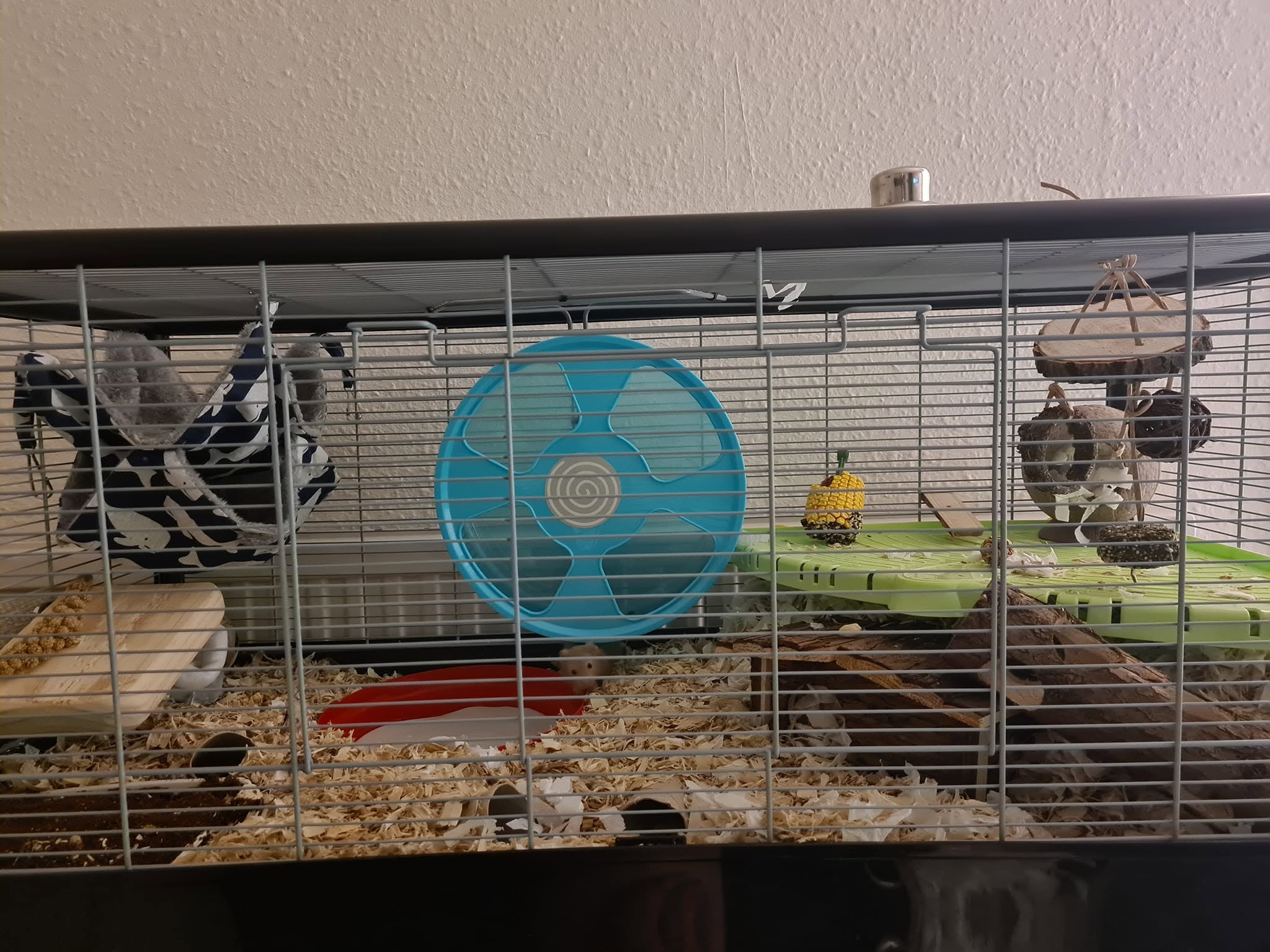 hamster deep bedding foraging cage uk
