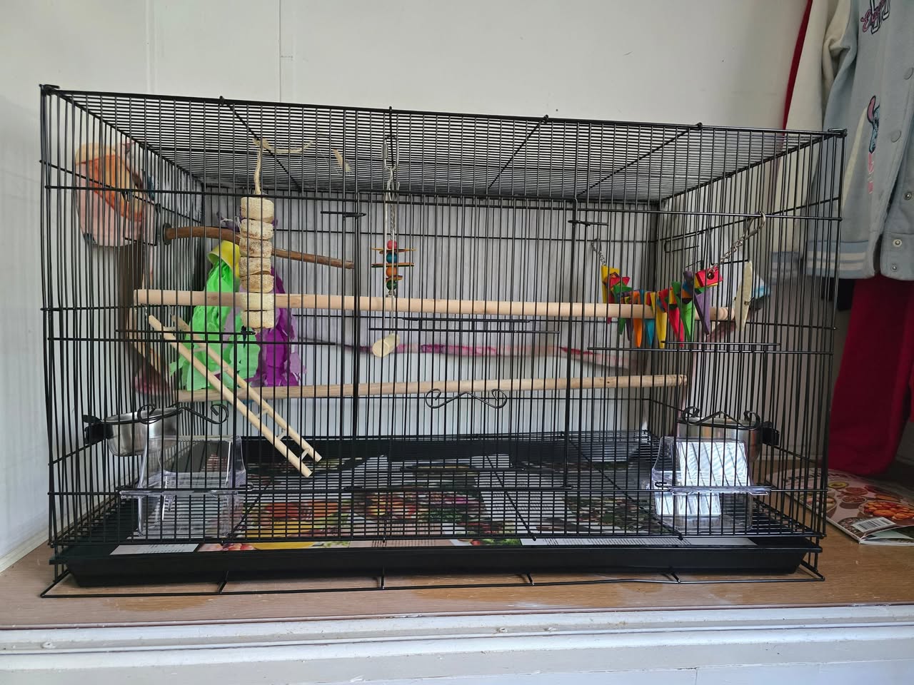 happy active budgie large cage upgrade UK