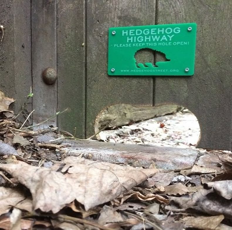 hedgehog highway gap cut into fence