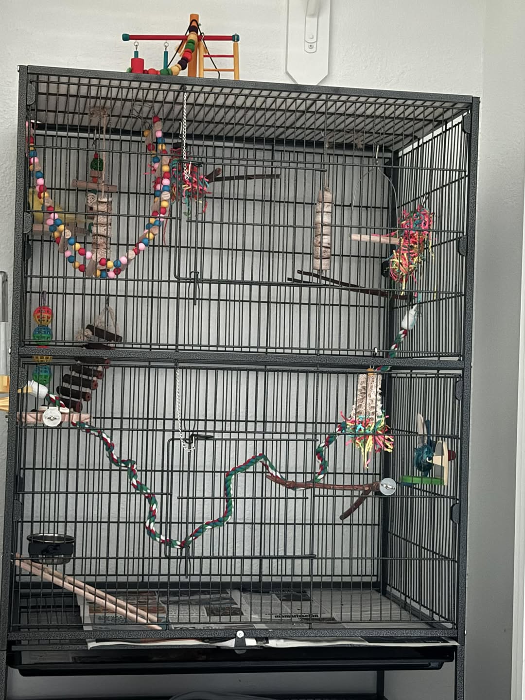 new bird cage setup ready before arrival UK