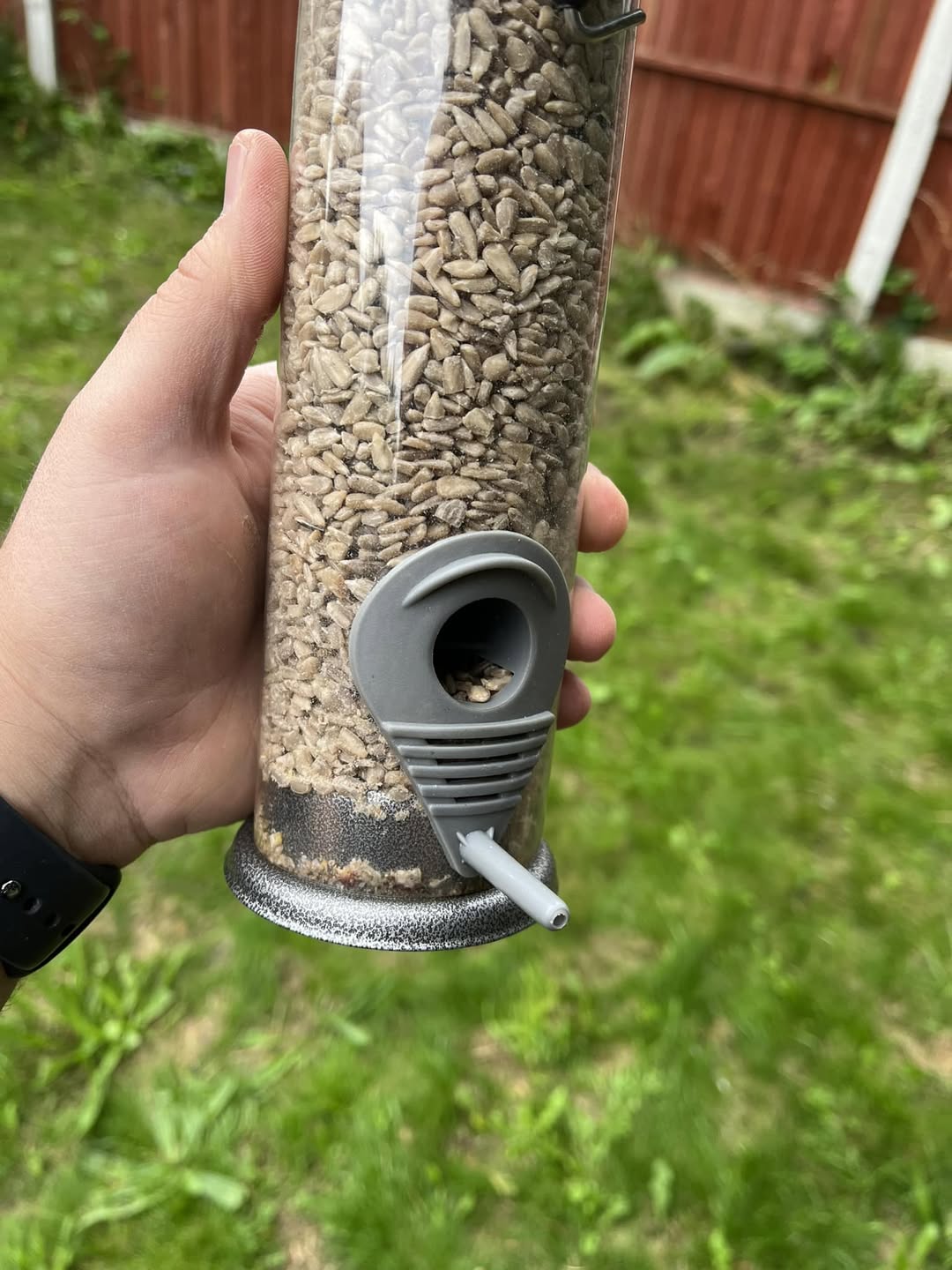 properly maintained garden bird feeder UK sunflower hearts quality seed