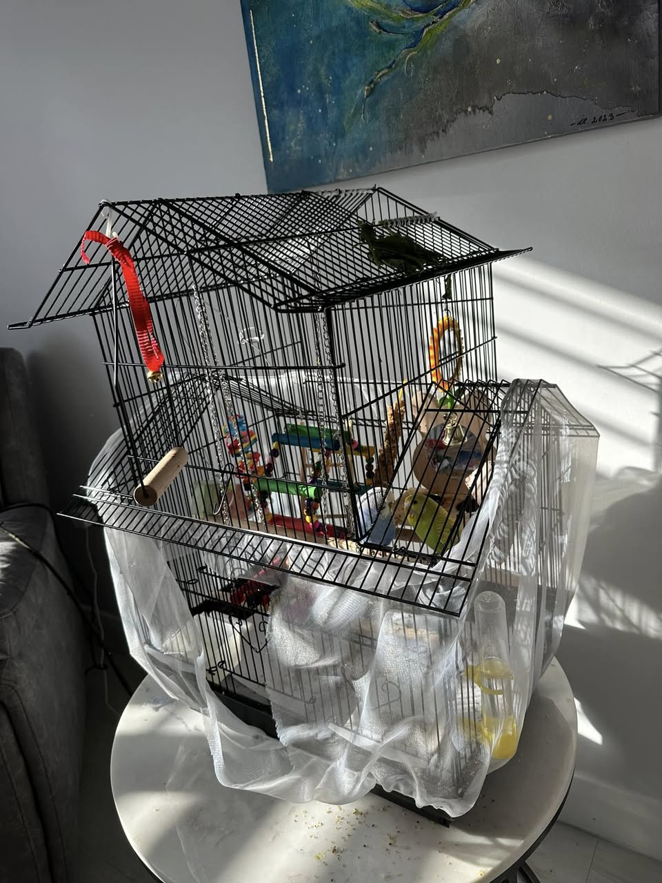 small inadequate budgie cage UK mistake