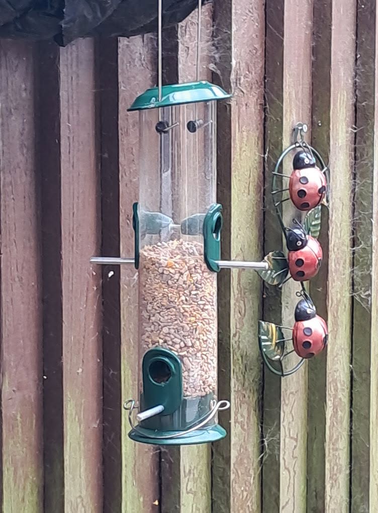 switching to safe tube feeder budgie garden UK