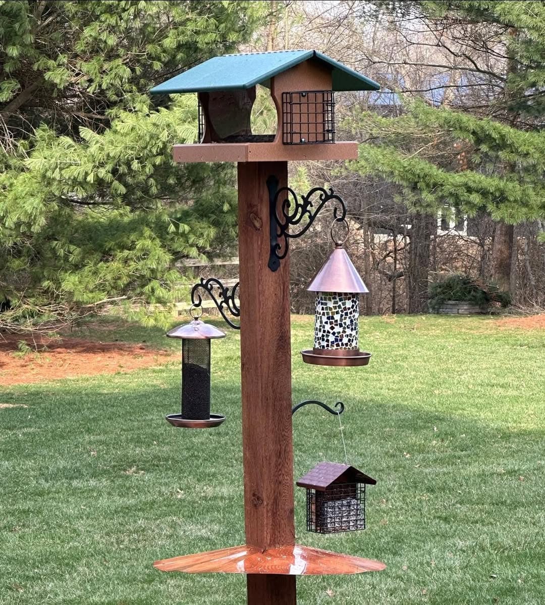 tube feeder hanging bird feeder safer design UK 