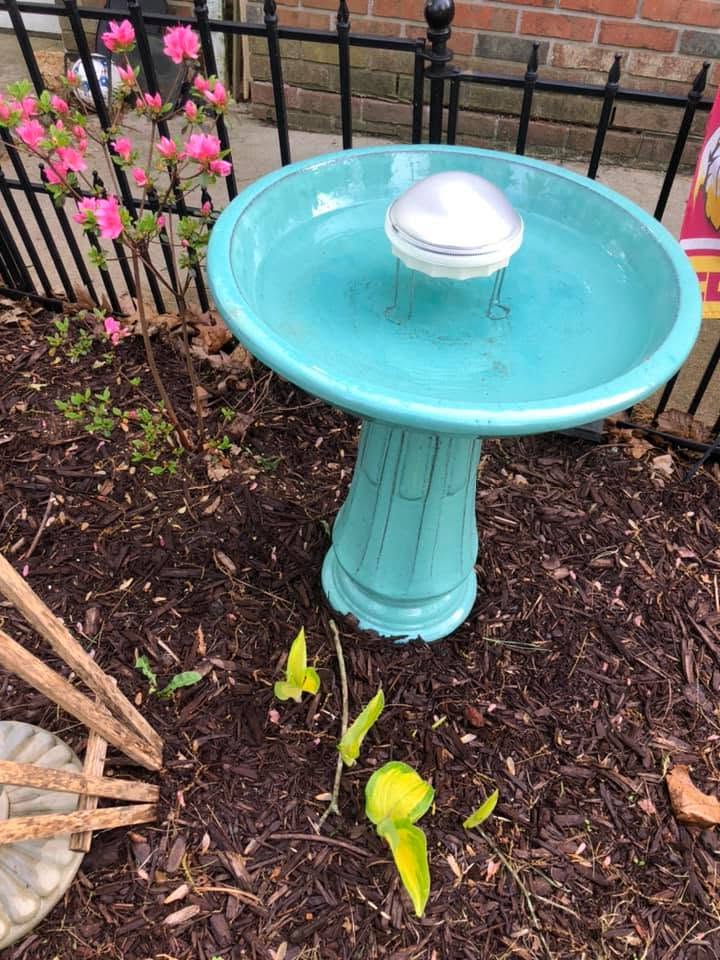 washing hands after handling bird feeder hygiene 