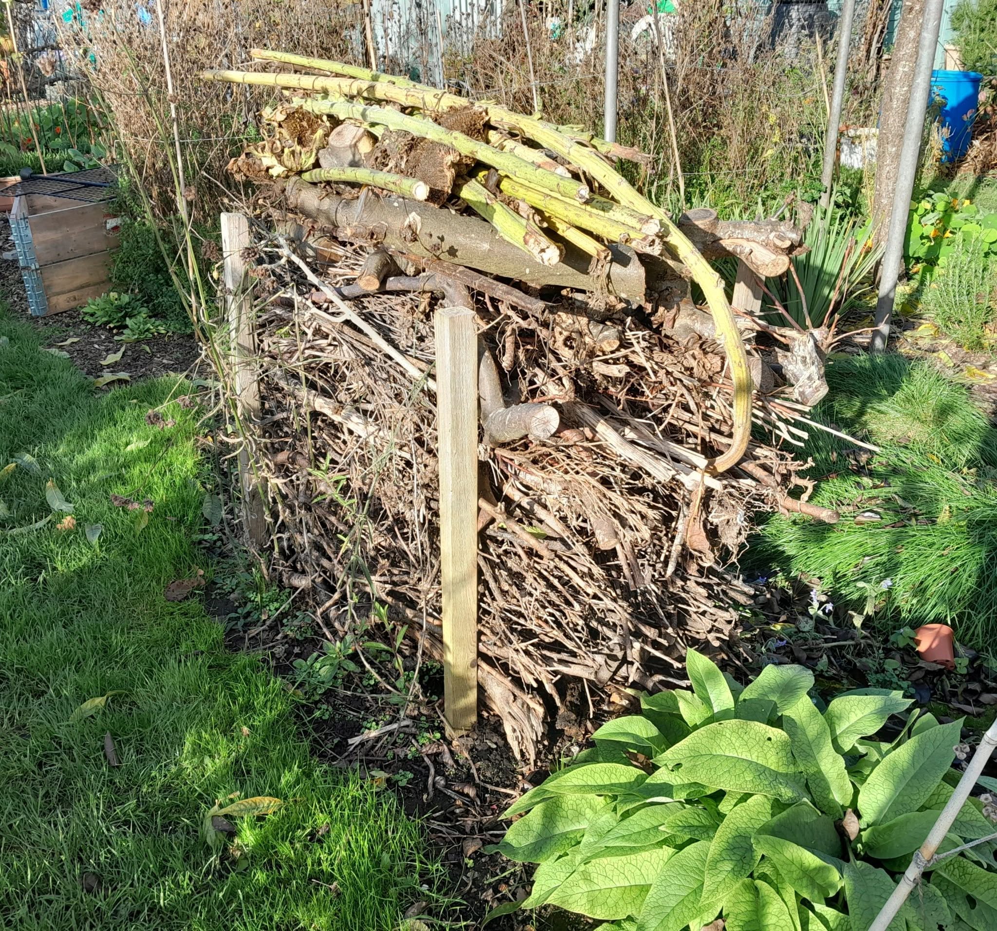 wildlife garden hedge log pile bird bath