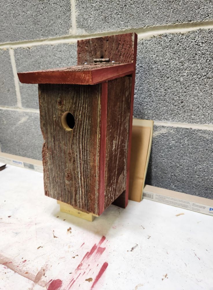 wren communal winter roost log pile nest box UK 