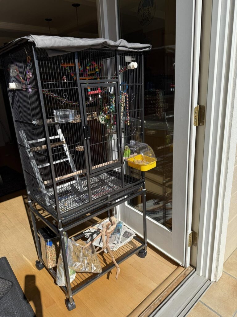 Budgie cage in summer conditions with heat and humidity checks