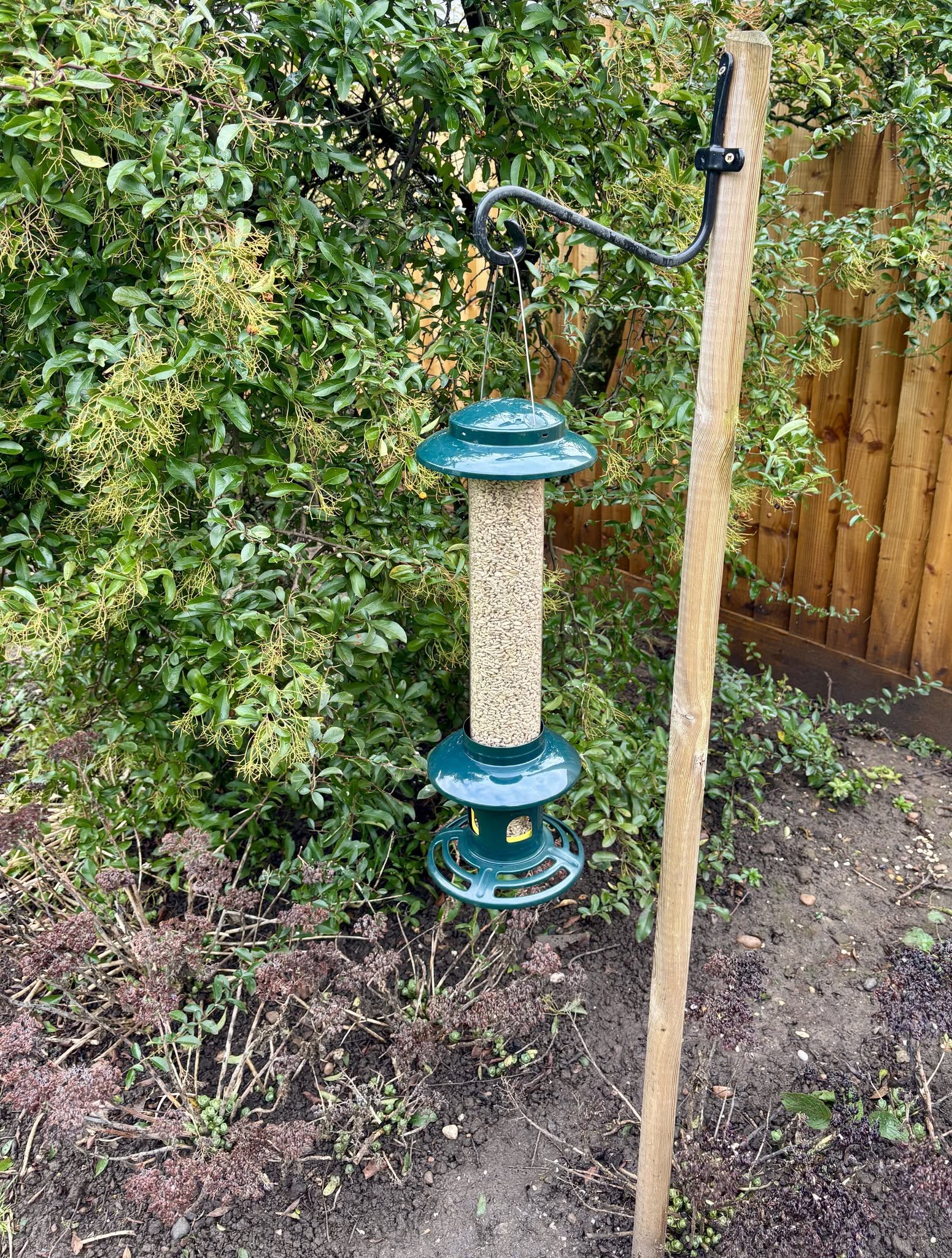 Clean bird feeder hygiene tube feeder UK garden