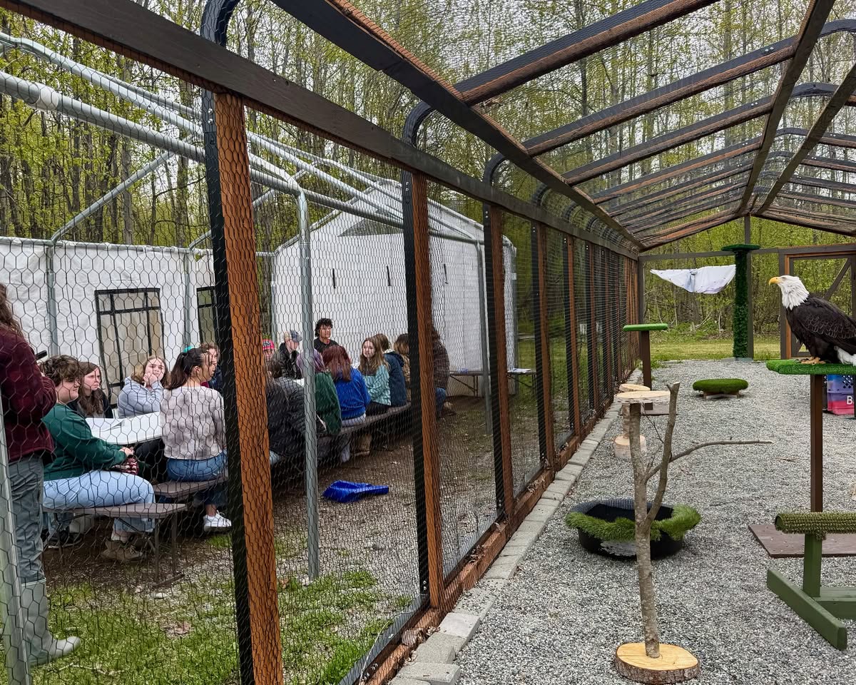 Outdoor aviary biosecurity summer check UK 2026