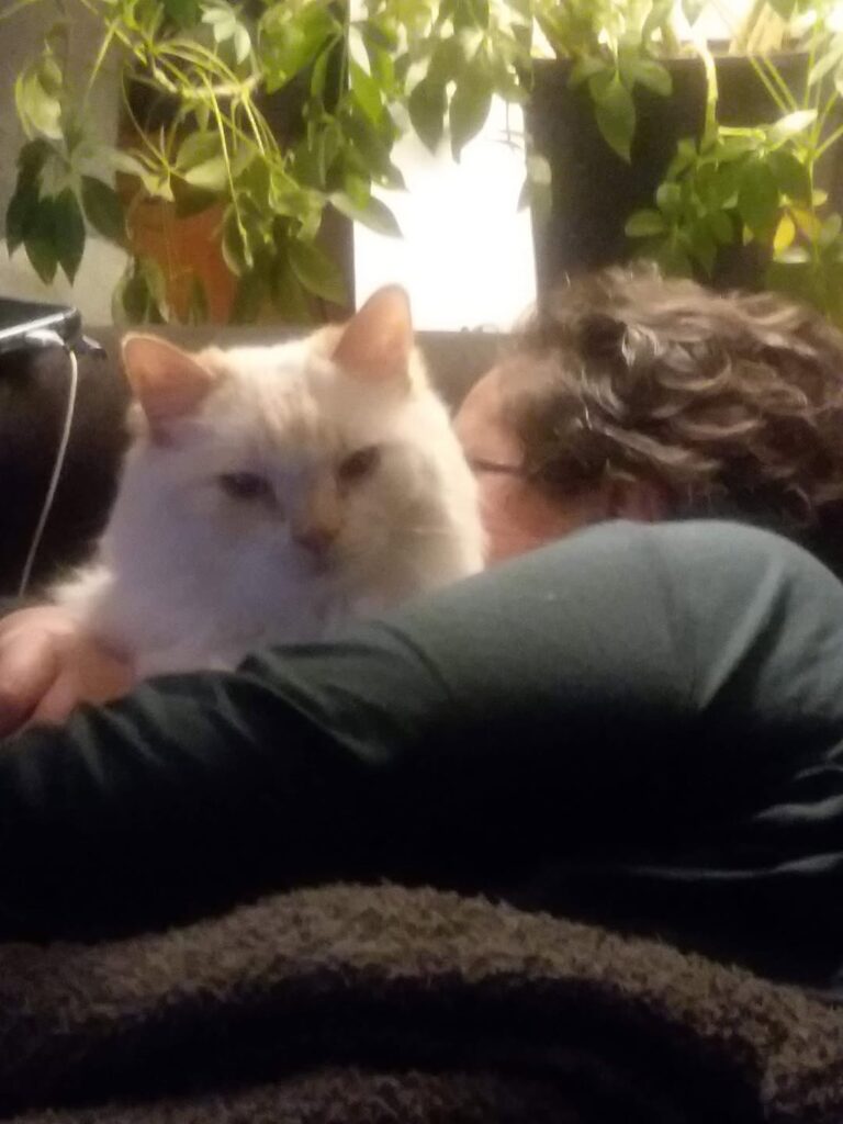 Rehomed pet health check