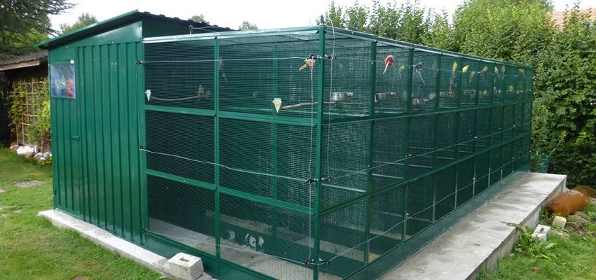 UK outdoor bird aviary biosecurity welfare-led captive bird housing